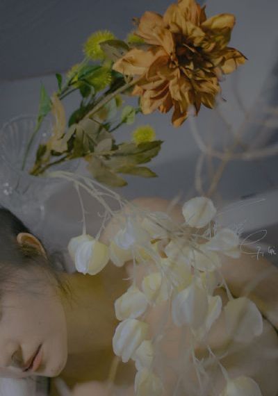亚洲欧美精品第一区二区_超清高清完整版播放